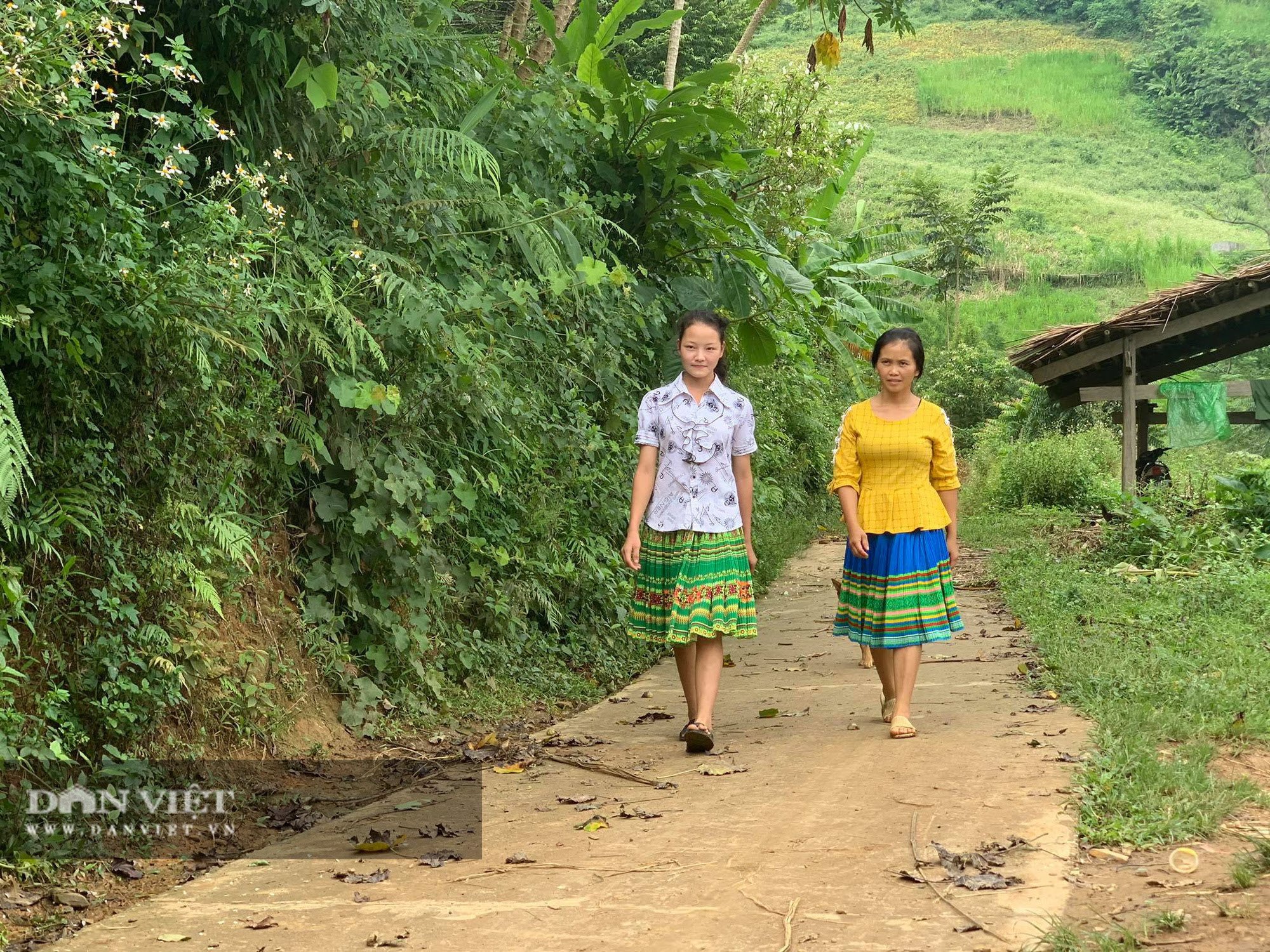 Dù nghèo, người Mông ở Khâu Qua vẫn hiến đất, chinh phục 6km đường &quot;thần thánh&quot; - Ảnh 6.