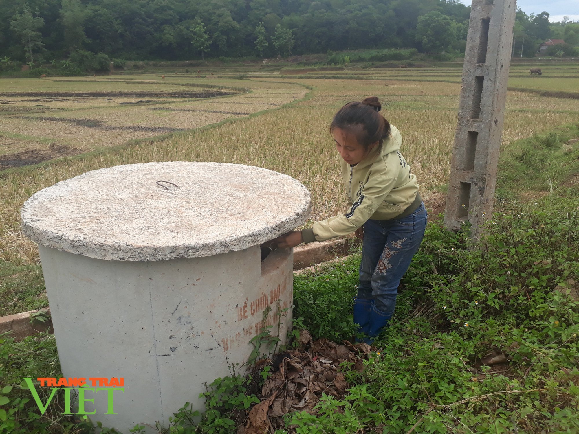 Yên Châu chung tay giữ gìn vệ sinh môi trường nông thôn - Ảnh 2. Yên Châu chung tay giữ gìn vệ sinh môi trường nông thôn - Ảnh 2.