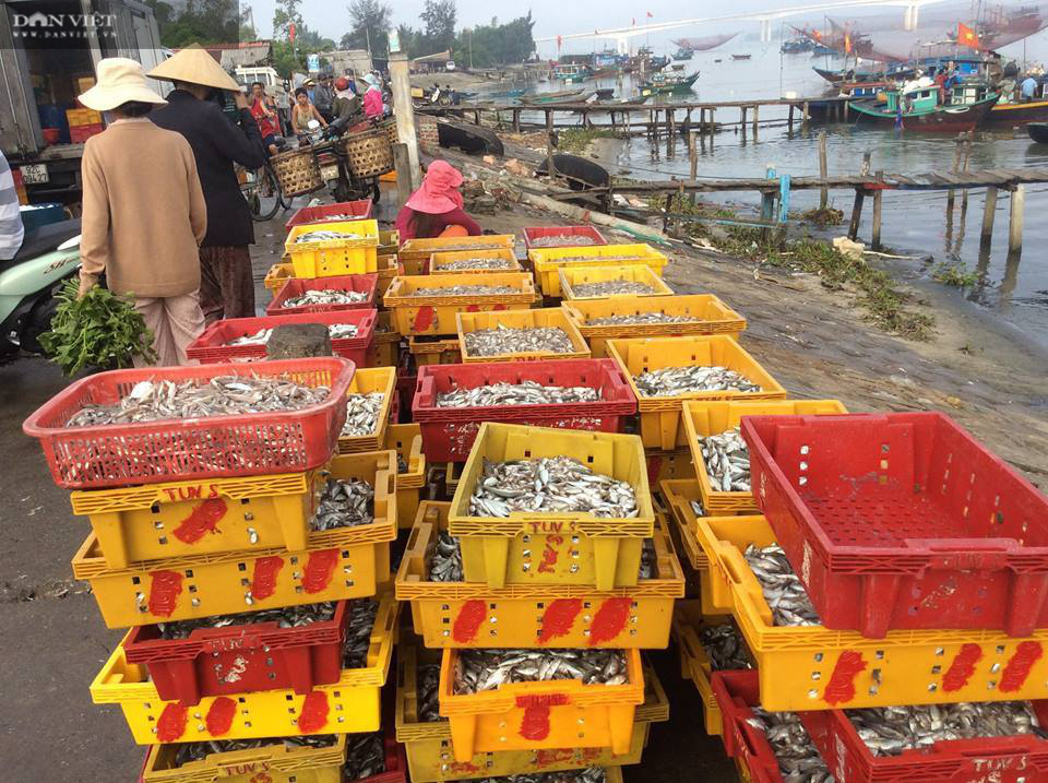 Quảng Nam: “Con đẻ” của làng nghề nước mắm truyền thống Cửa Khe đổi đời nhờ lưu giữ vị ngọt của biển - Ảnh 5.