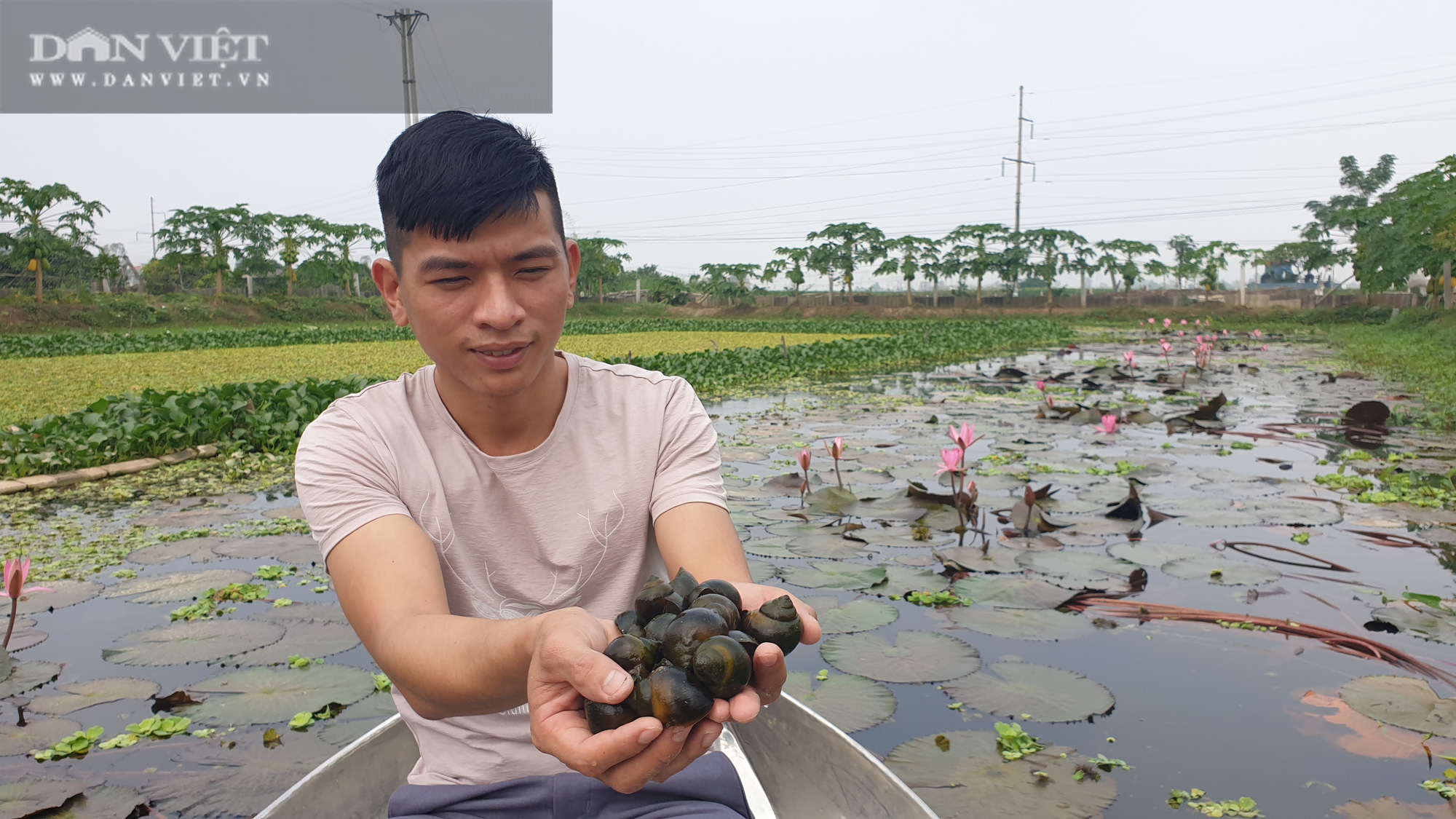 Hà Nam: Tròn mắt với mô hình nuôi ốc nhồi của thanh niên 9x, mỗi năm bỏ túi hơn nửa tỷ   - Ảnh 5.