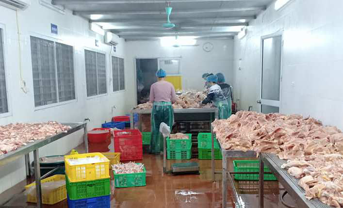 Giá gia cầm hôm nay 13/11: Gà thịt công nghiệp tăng thêm 2 giá, người nuôi bớt lo - Ảnh 1.
