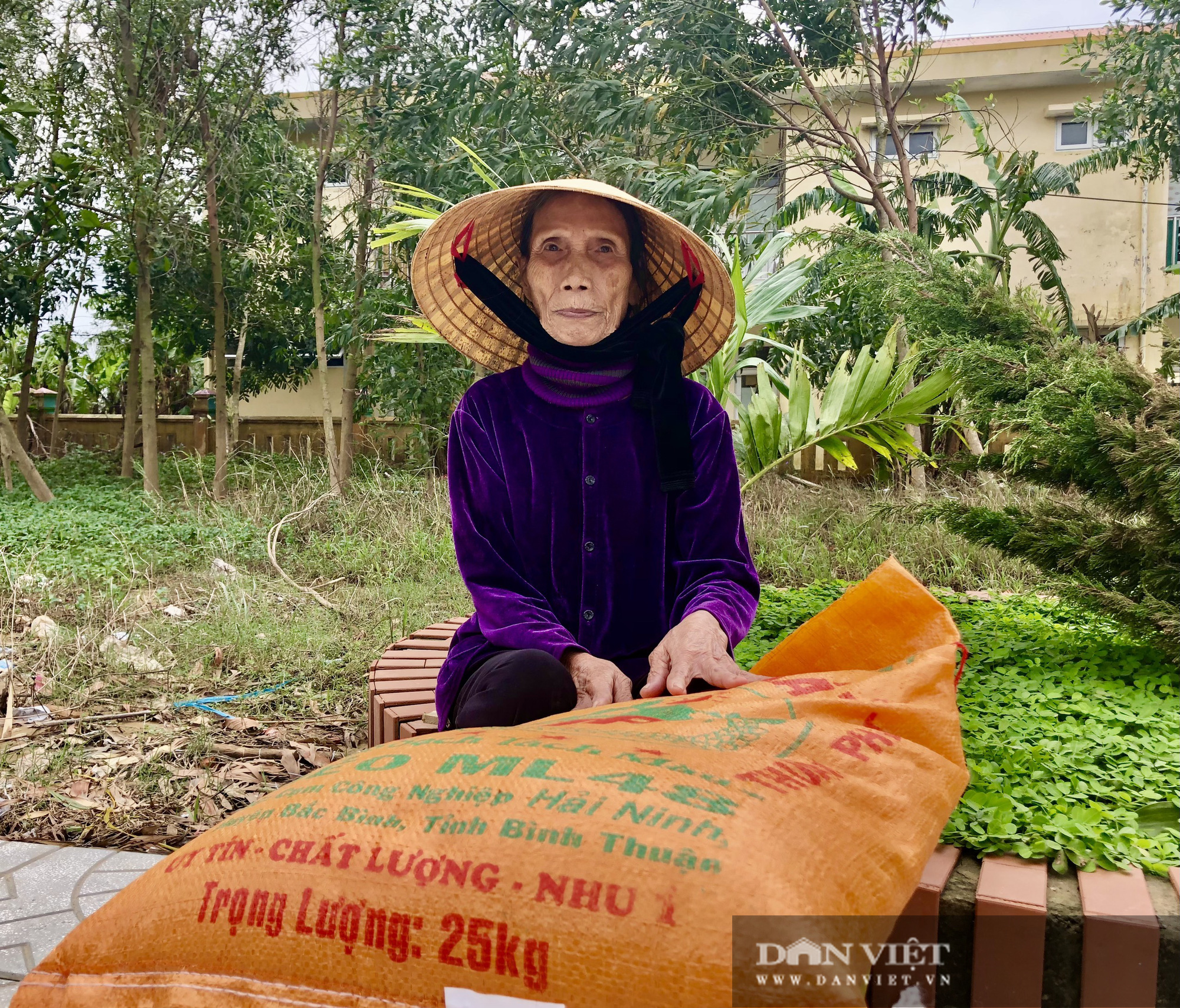 Báo NTNN/Dân Việt hỗ trợ lúa giống, phân bón giúp bà con “rốn” lũ Lệ Thủy (Quảng Bình) khôi phục sản xuất - Ảnh 4.