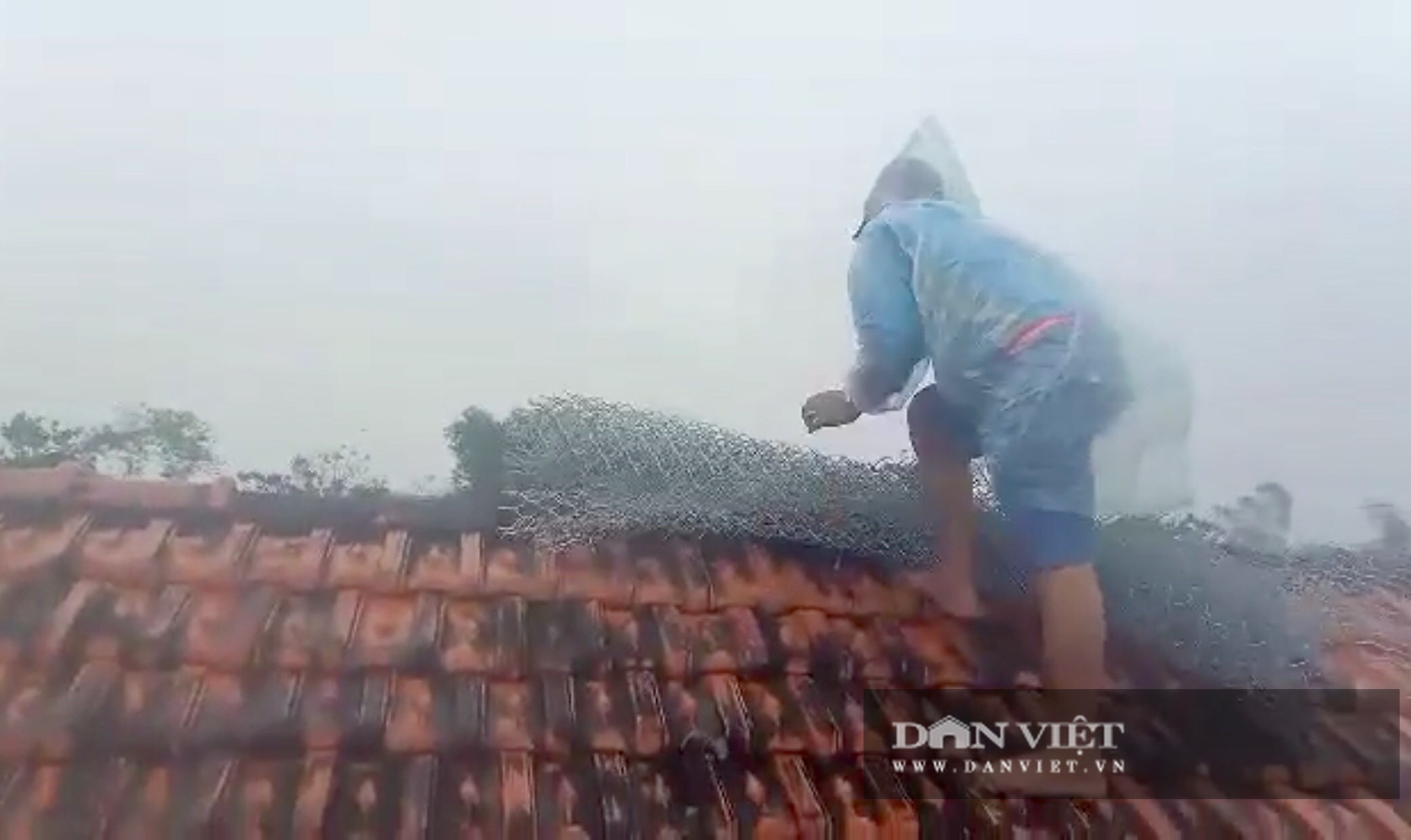 Ngư dân Quảng Bình chằng chống nhà, neo tàu “chạy đua” với bão số 13 - Ảnh 7.