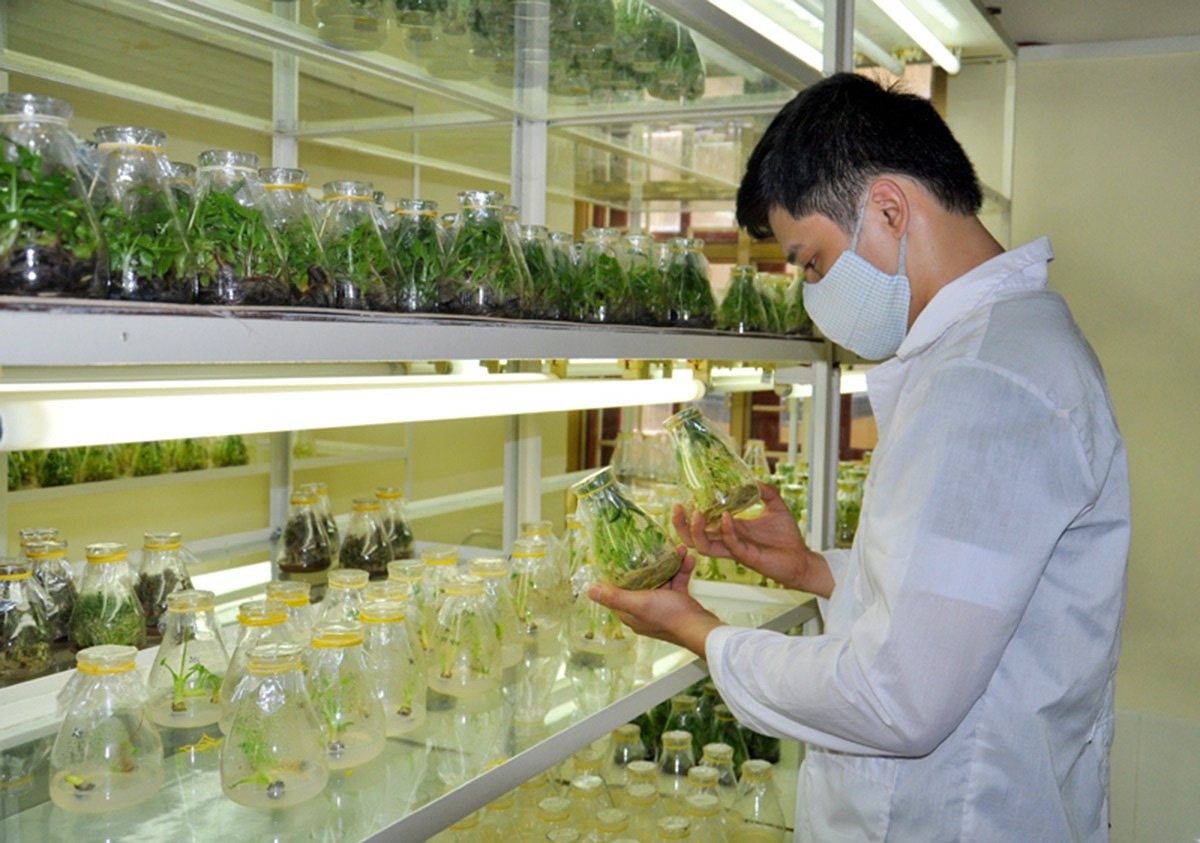 Tìm nhân lực làm nông nghiệp công nghệ cao  - Ảnh 1.
