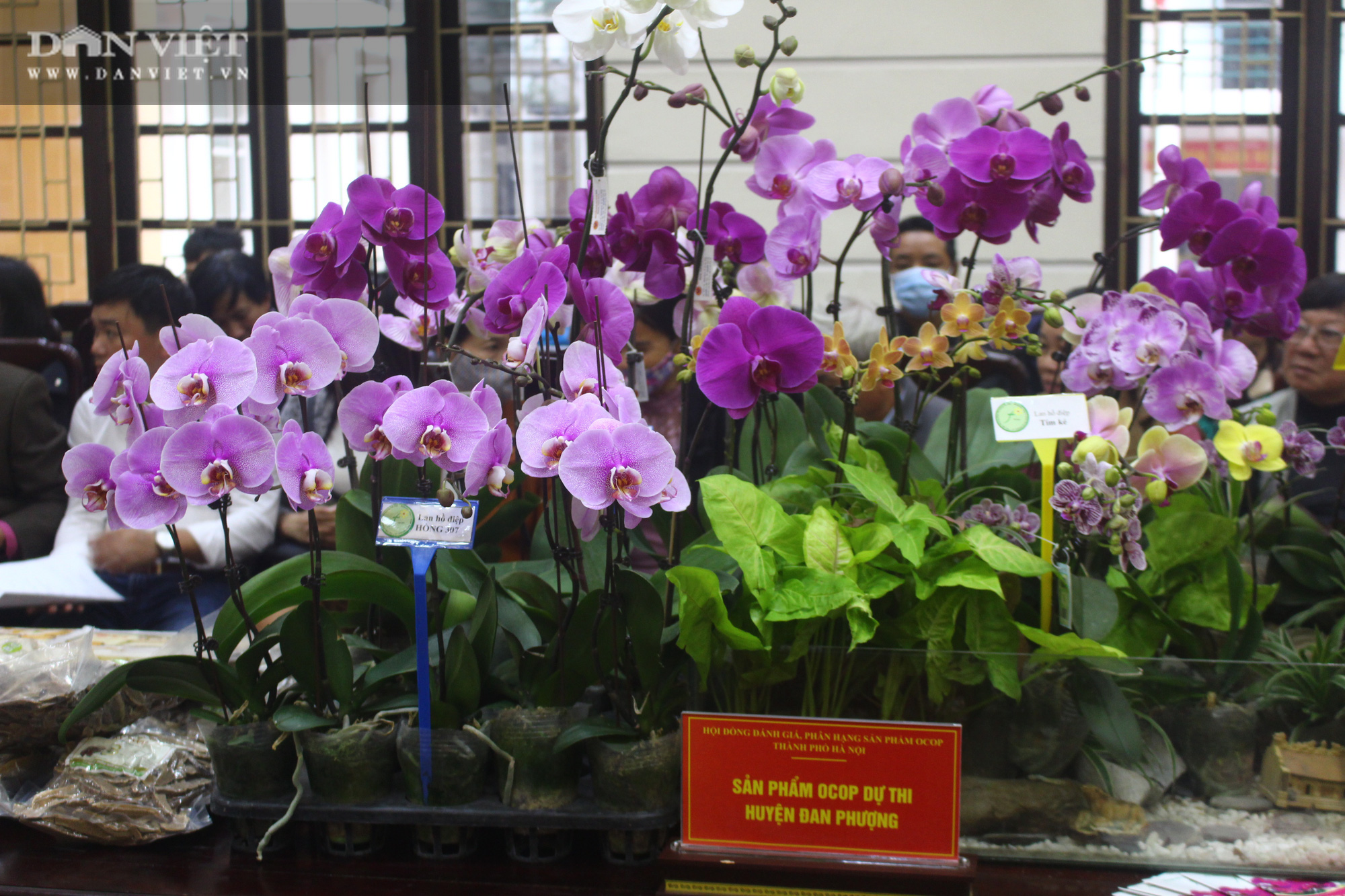 Hà Nội: Hơn 300 đặc sản OCOP được “gọi tên”, loại khăn lụa độc đáo, đắt hơn vàng khiến nhiều người thích thú - Ảnh 3.