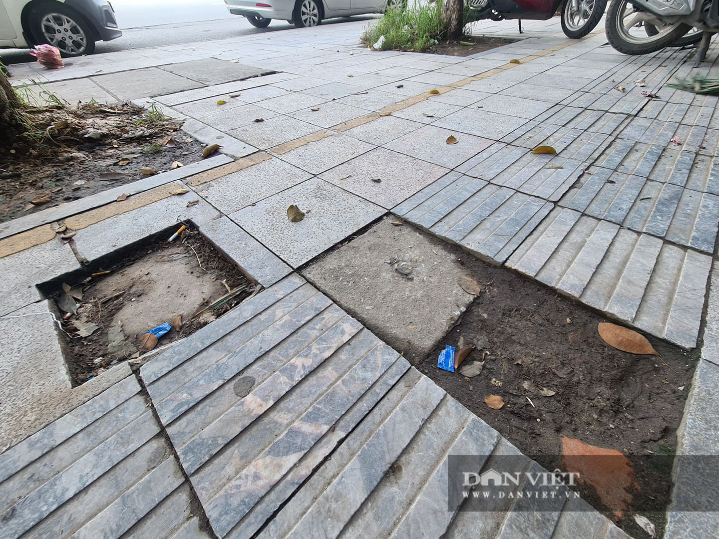 Xuất hiện &quot;ổ voi&quot; trên vỉa hè lát đá độ bền 70 năm - Ảnh 6.