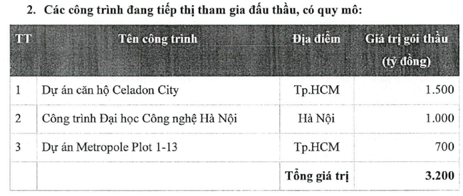 Không còn “bệ đỡ” Bộ Xây dựng, CC1 sẽ ra sao (p2)? - Ảnh 2.