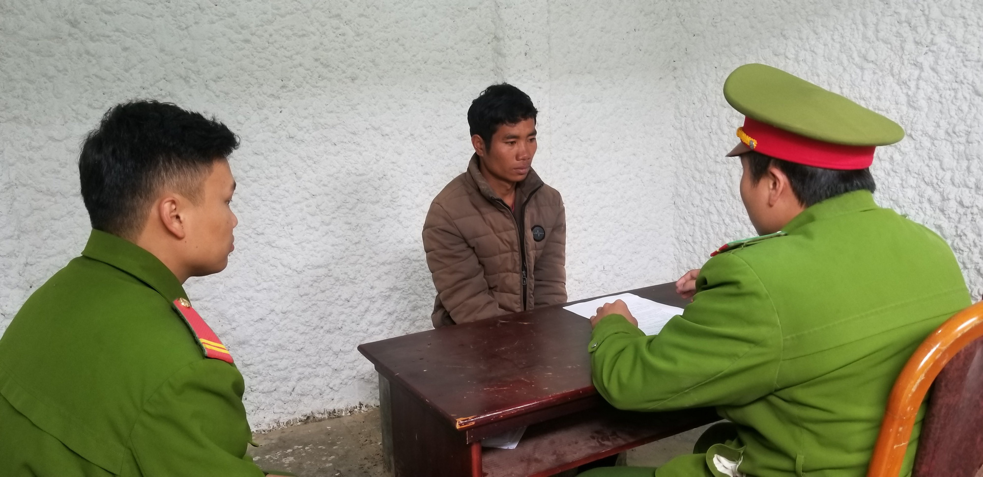 Bắt tạm giam 1 đối tượng trong vụ cưa hạ hàng trăm cây thông tại tiểu khu 132 - Ảnh 1.