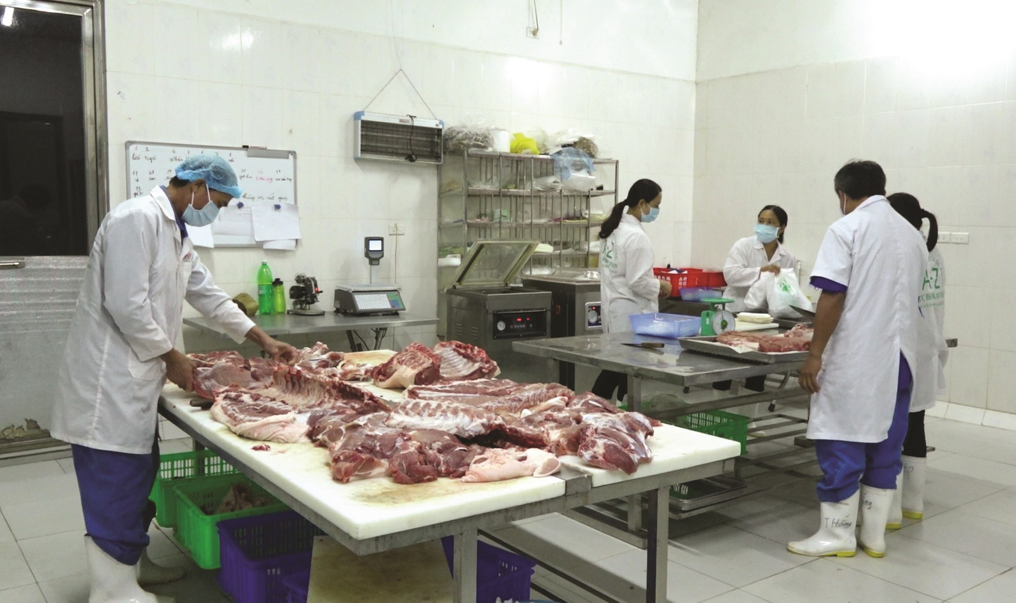 Chăn nuôi ở Hà Nội dần vào quy củ  - Ảnh 1.