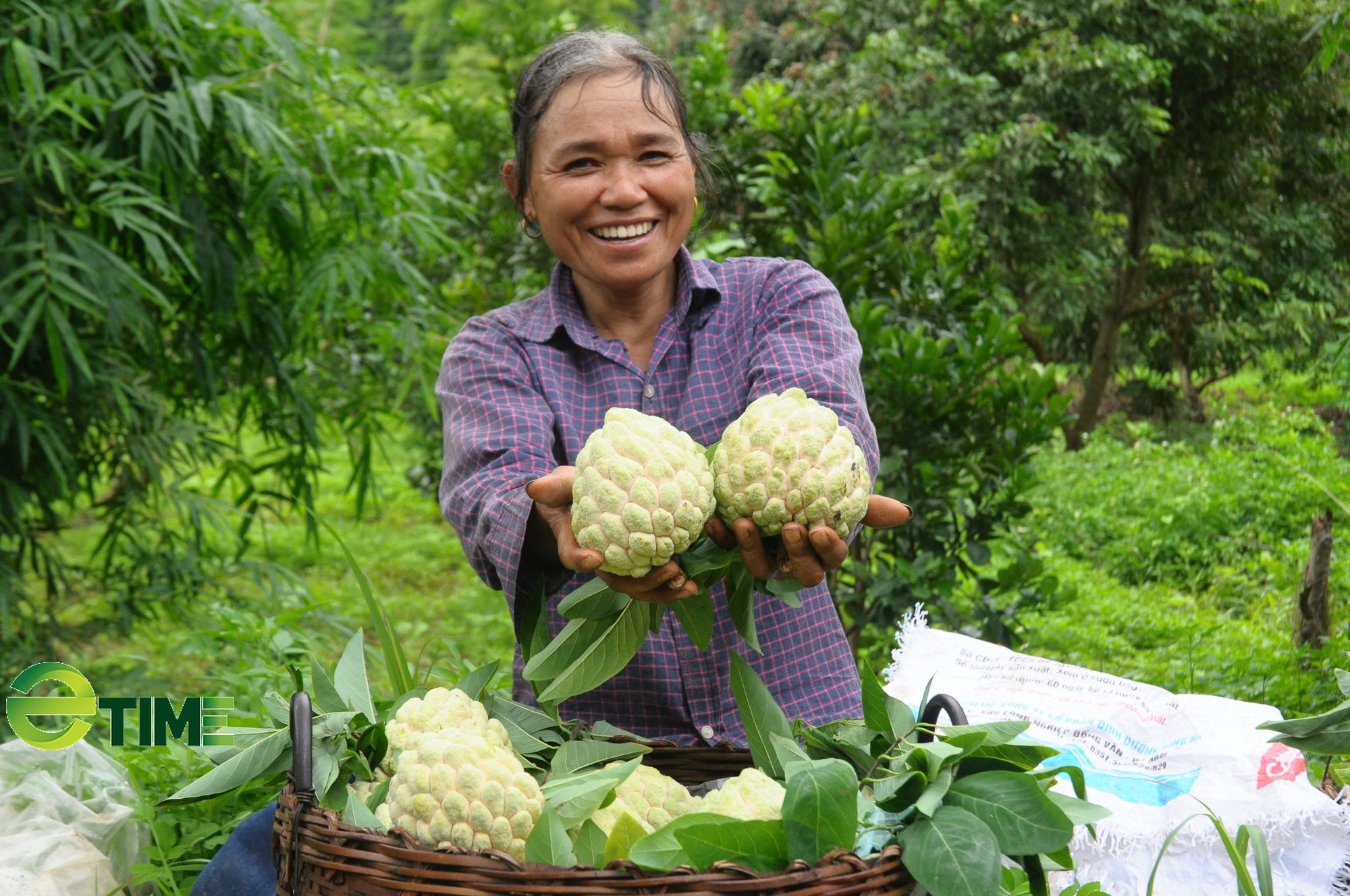 Lạng Sơn: Thêm nhiều sản phẩm nông nghiệp nhận 3 - 4 sao OCOP tỉnh - Ảnh 1. Lạng Sơn: Thêm nhiều sản phẩm nông nghiệp nhận 3 - 4 sao OCOP tỉnh - Ảnh 1.