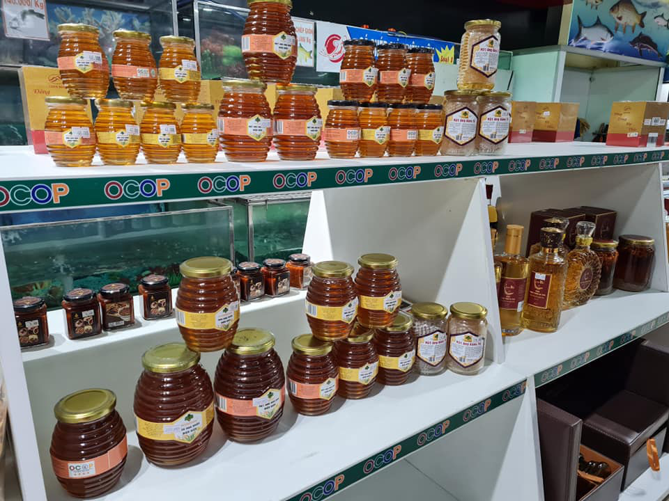 Điện Biên: Xây dựng thương hiệu mật ong đạt tiêu chuẩn 4 sao OCOP - Ảnh 4. Điện Biên: Xây dựng thương hiệu mật ong đạt tiêu chuẩn 4 sao OCOP - Ảnh 4.