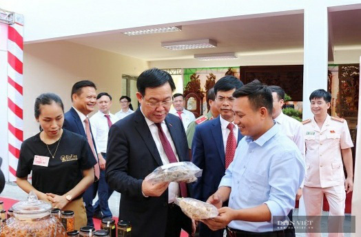 Hà Nội: Trai trẻ là kỹ sư điện về quê trồng loài nấm gì mà bán 750.000 đồng/hộp, ai cũng muốn đến xem thử - Ảnh 6.