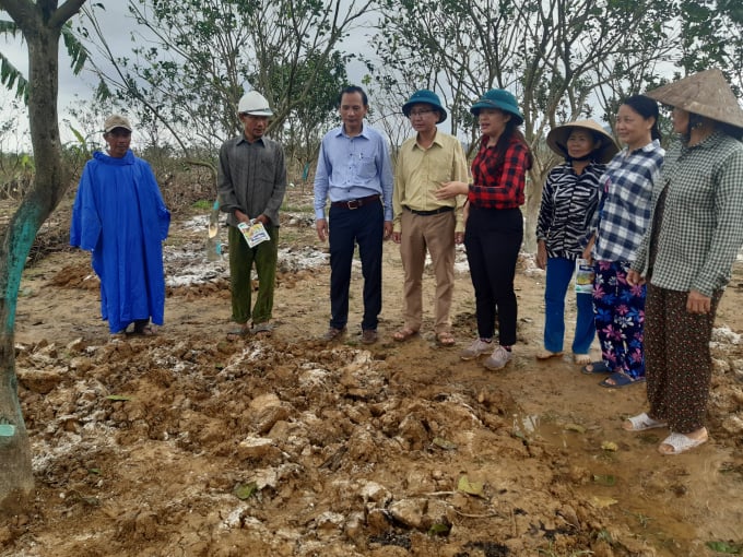 Tọa đàm &quot;Tái cơ cấu nông nghiệp miền Trung sau bão lũ&quot;: Hỗ trợ nhanh nhất, đúng nhất - Ảnh 9.