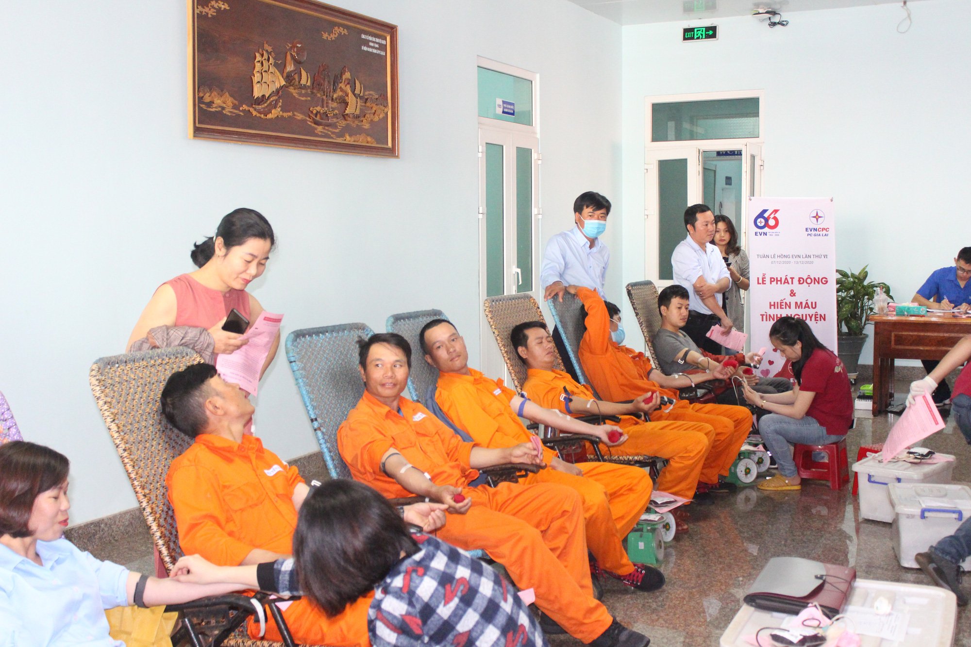PC Gia Lai: Tích cực hưởng ứng Tuần lễ hồng EVN lần thứ VI  - Ảnh 1.
