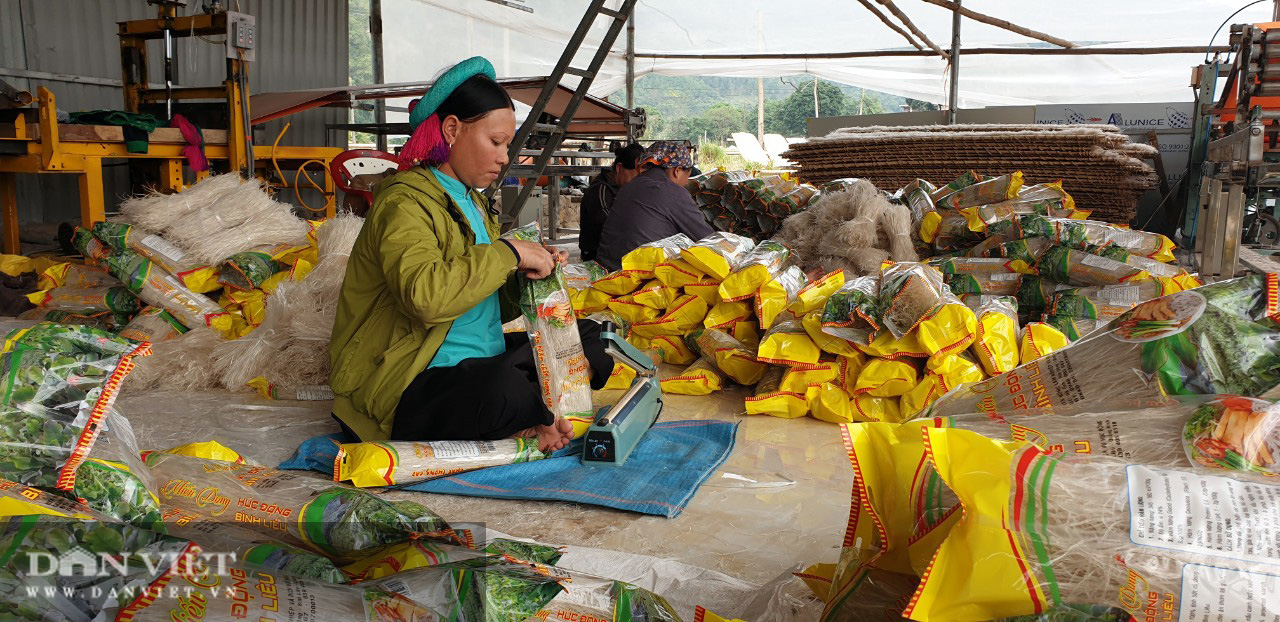 Từ củ dong riềng đến sản phẩm OCOP chủ lực của Quảng Ninh - Ảnh 6.