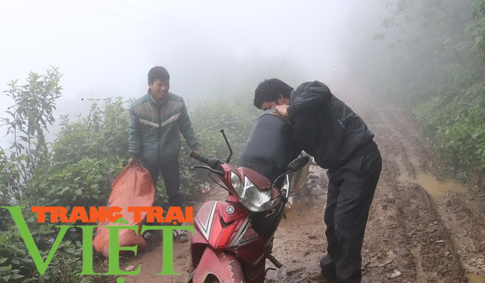 Nhiệt độ tụt sâu, người dân vùng cao co ro trong giá lạnh - Ảnh 1. Nhiệt độ tụt sâu, người dân vùng cao co ro trong giá lạnh - Ảnh 1.