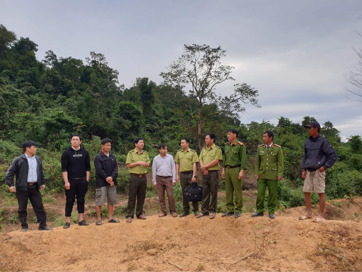 Điện Biên: Người dân xã Mường Toong nỗ lực bảo vệ rừng - Ảnh 4. Điện Biên: Người dân xã Mường Toong nỗ lực bảo vệ rừng - Ảnh 4.