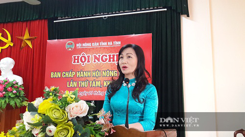 Hà Tĩnh có tân Chủ tịch Hội nông dân tỉnh - Ảnh 1.