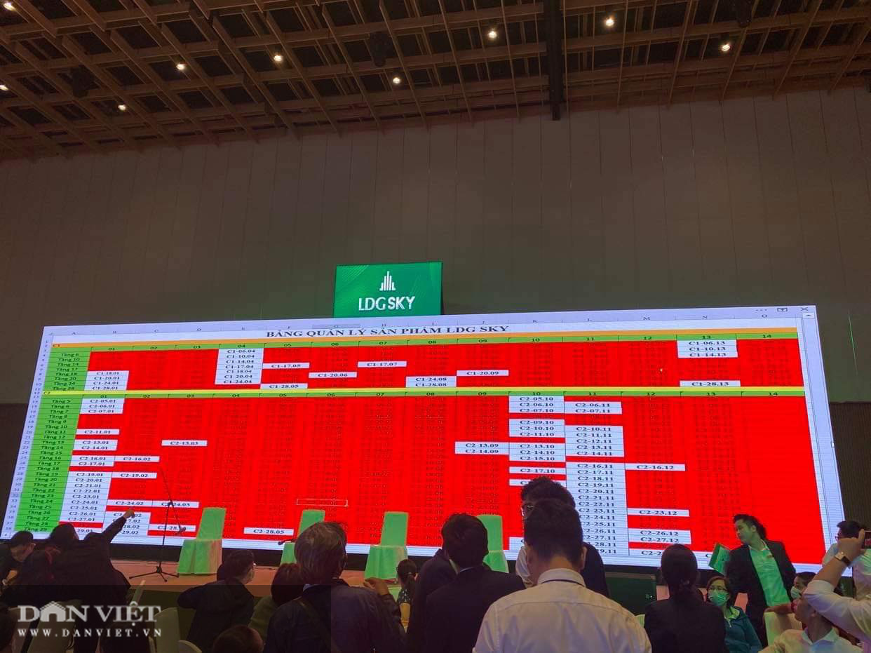 Đất Xanh Miền Nam và LDG Group có đẩy rủi về khách hàng tại dự án LDG Sky?  - Ảnh 1.