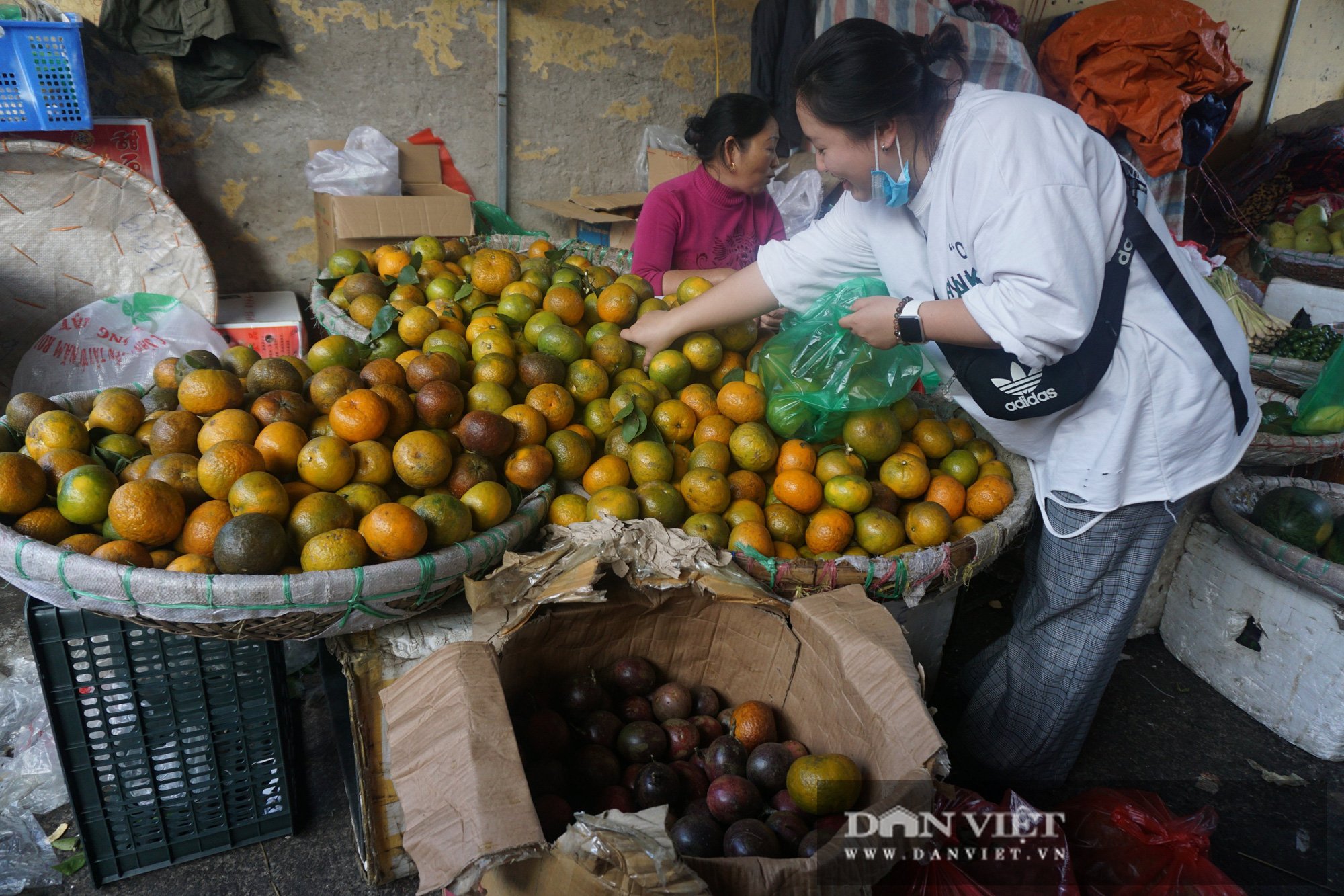 Hà Nội: Tiểu thương chợ đầu mối Long Biên "khóc dòng" vì giá cam quá rẻ, đổ bỏ vì không ai mua - Ảnh 1. Hà Nội: Cam giá rẻ - Ảnh 1.