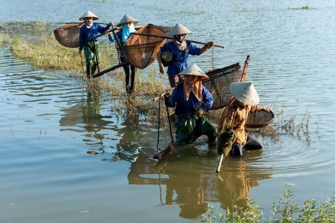 Mắm tép Trang Quyết – Đặc sản vùng đất Gia Viễn, Ninh Bình - Ảnh 1.
