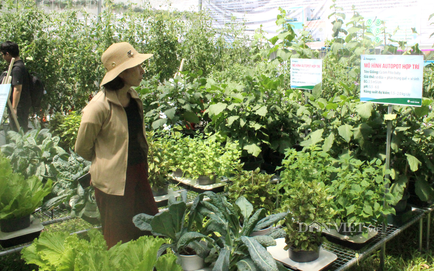 Phát triển giống cây trồng gắn với công nghệ cao - Ảnh 1.