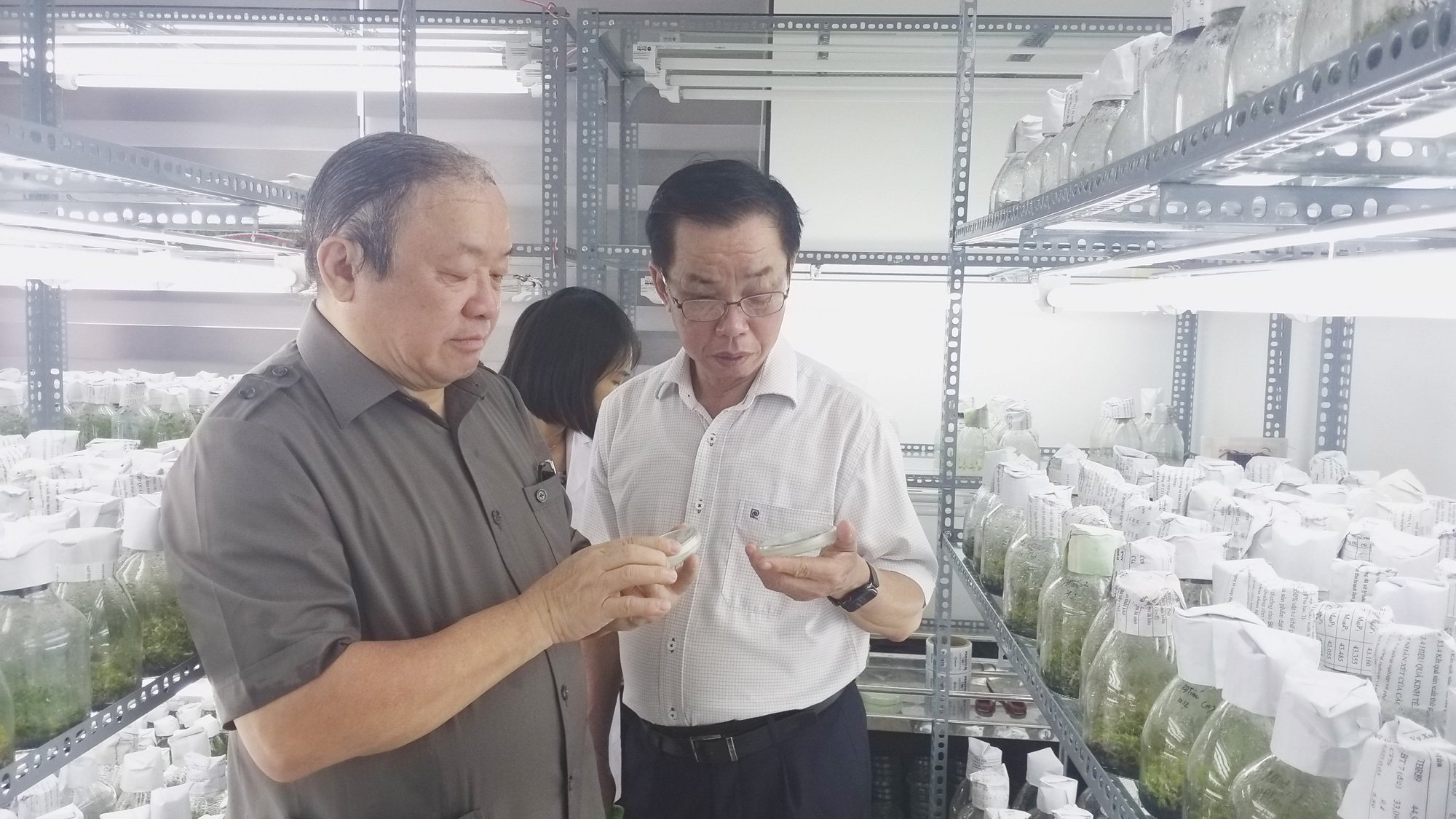 Doanh nhân Trần Mạnh Báo được phong tặng danh hiệu Anh hùng Lao động - Ảnh 6.