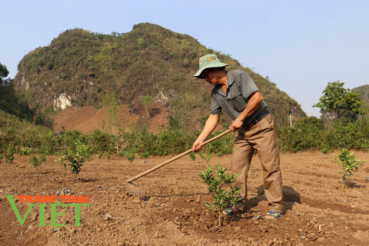 Hiệu quả phong trào nông dân thi đua sản xuất, kinh doanh giỏi ở Thuận Châu - Ảnh 5. Hiệu quả phong trào nông dân thi đua sản xuất, kinh doanh giỏi ở Thuận Châu - Ảnh 5.