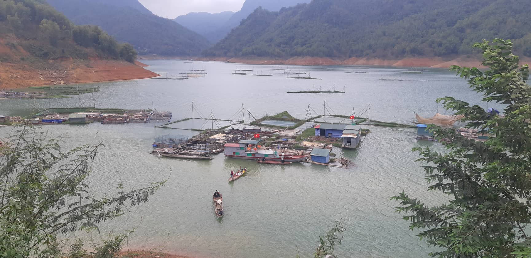 Dân nuôi cá lạ, vây, vẩy đổi theo màu mây - Ảnh 1. Dân nuôi cá lạ, vây, vẩy đổi theo màu mây - Ảnh 1.