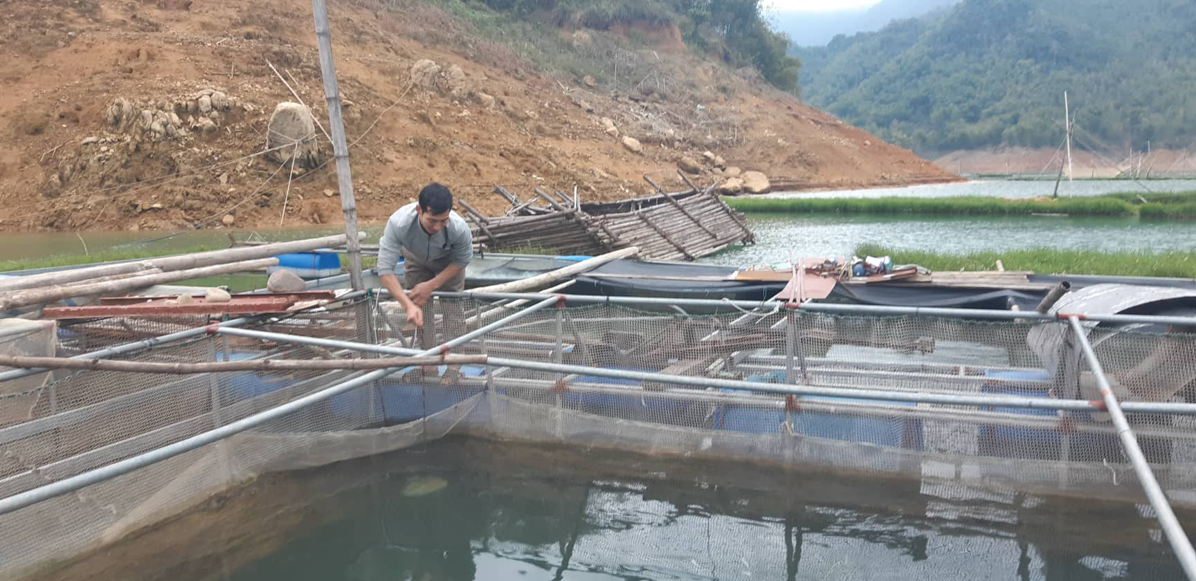 Dân nuôi cá lạ, vây, vẩy đổi theo màu mây - Ảnh 2. Dân nuôi cá lạ, vây, vẩy đổi theo màu mây - Ảnh 2.