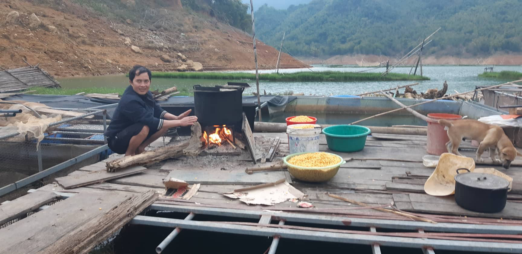 Dân nuôi cá lạ, vây, vẩy đổi theo màu mây - Ảnh 4. Dân nuôi cá lạ, vây, vẩy đổi theo màu mây - Ảnh 4.