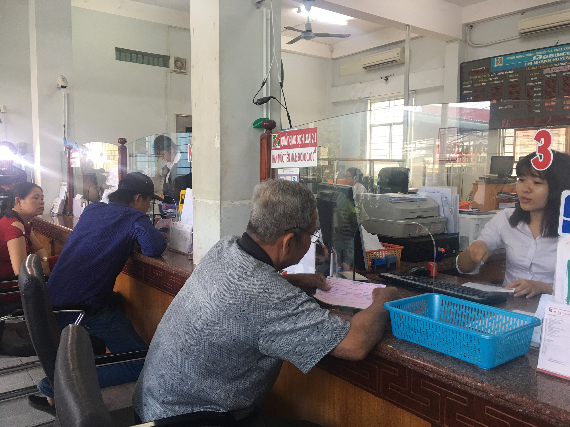 Vĩnh Long: Cả xóm cất nhà tường nhờ trồng cam trái vụ - Ảnh 3. Vĩnh Long: Cả xóm cất nhà tường nhờ trồng cam trái vụ - Ảnh 3.