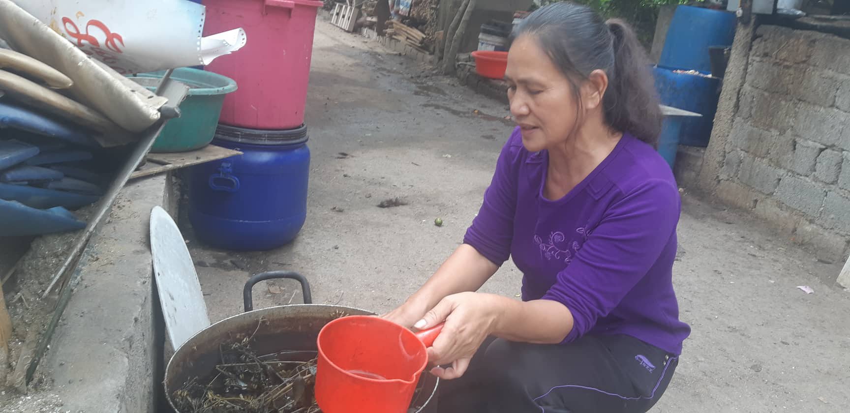 Chữa bệnh cho lợn bằng thảo dược, cả năm chẳng lo dịch - Ảnh 4. Chữa bệnh cho lợn bằng thảo dược, cả năm chẳng lo dịch - Ảnh 4.