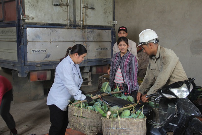 Về xã nông thôn mới xem những nông dân vượt khó làm giàu. - Ảnh 4.