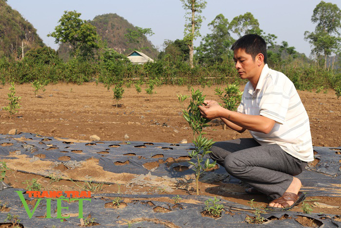 Tông Lạnh giữ vững và phát huy danh hiệu Nông thôn mới - Ảnh 2. Tông Lạnh giữ vững và phát huy danh hiệu Nông thôn mới - Ảnh 2.