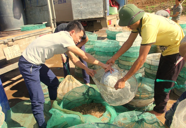 Sìn Hồ khai thác hiệu quả tiềm năng lòng hồ thủy điện Sơn La - Ảnh 1.