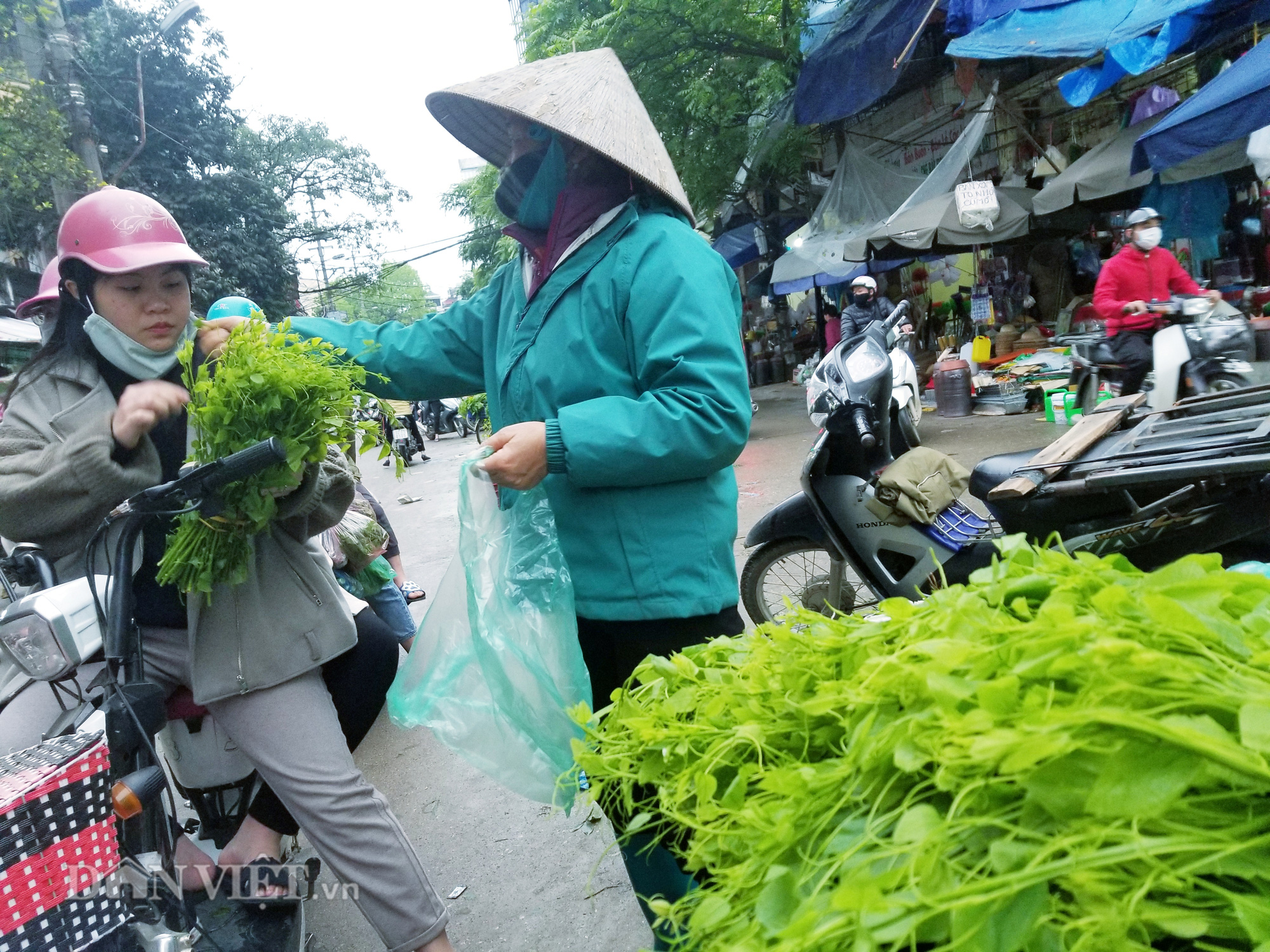 Thứ rau nghe tên đã thấy ngại nhưng dân tình vẫn lùng mua để thưởng thức - Ảnh 6. Thứ rau nghe tên đã thấy ngại nhưng dân tình vẫn lùng mua để thưởng thức - Ảnh 6.