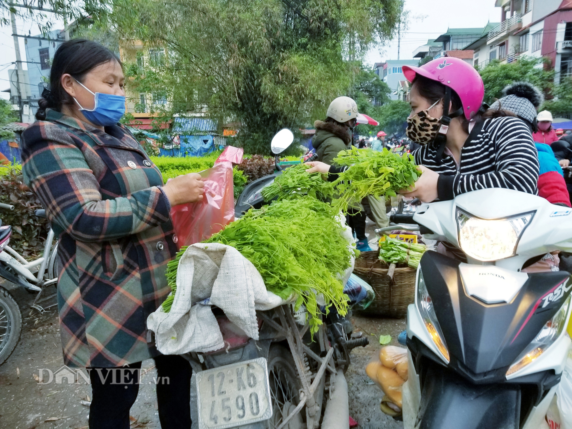 Thứ rau nghe tên đã thấy ngại nhưng dân tình vẫn lùng mua để thưởng thức - Ảnh 2. Thứ rau nghe tên đã thấy ngại nhưng dân tình vẫn lùng mua để thưởng thức - Ảnh 2.