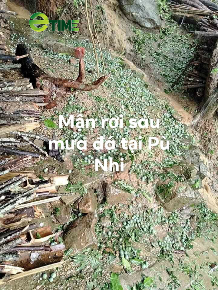 Mưa đá như quả trứng gà trút xuống huyện biên giới tỉnh Thanh Hóa - Ảnh 3.