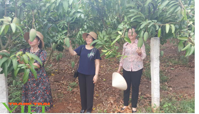 Nông thôn Mai Sơn- Sơn La: Từ nông thôn miền núi nghèo trở thành những vùng quê đáng sống - Ảnh 2. Nông thôn Mai Sơn- Sơn La: Từ nông thôn miền núi nghèo trở thành những vùng quê đáng sống - Ảnh 2.