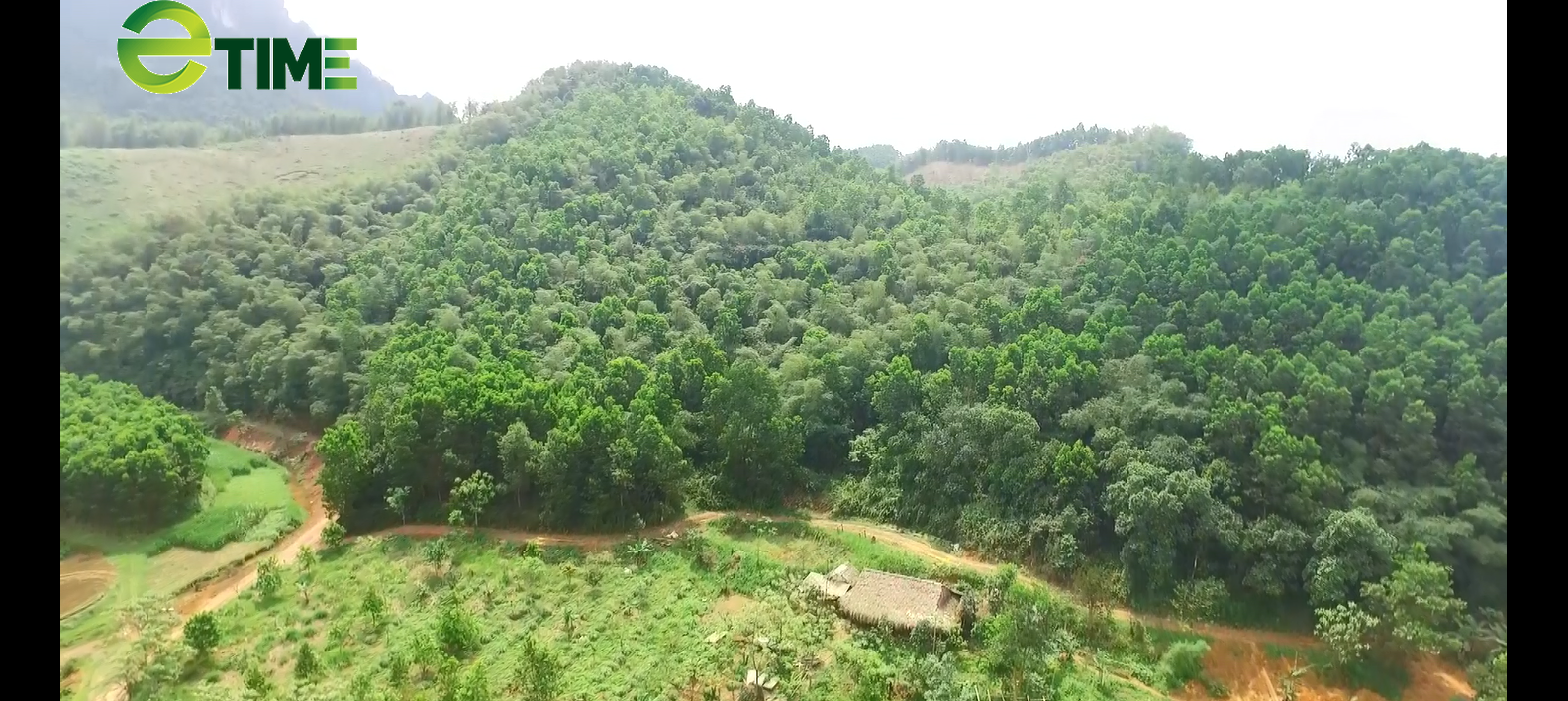 “Dị nhân xóm núi” bỏ 2 trường đại học về quê thực hiện khát vọng “sống xanh” - Ảnh 7. “Dị nhân xóm núi” bỏ 2 trường đại học về quê thực hiện khát vọng “sống xanh” - Ảnh 7.