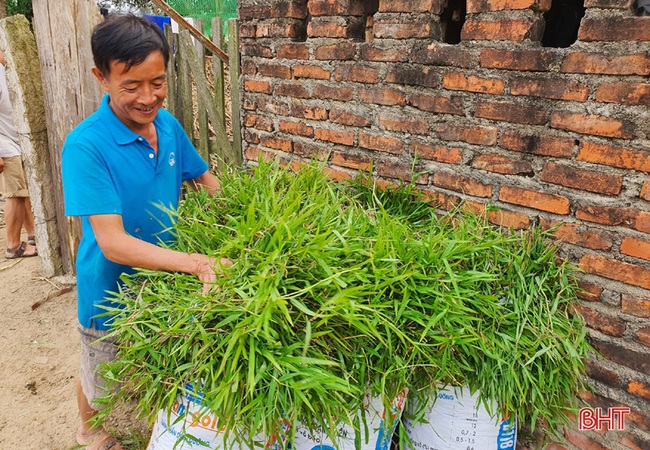 Nông dân đầu tiên ở Hà Tĩnh nuôi bò đực sữa của Tập đoàn TH True Milk - Ảnh 9.