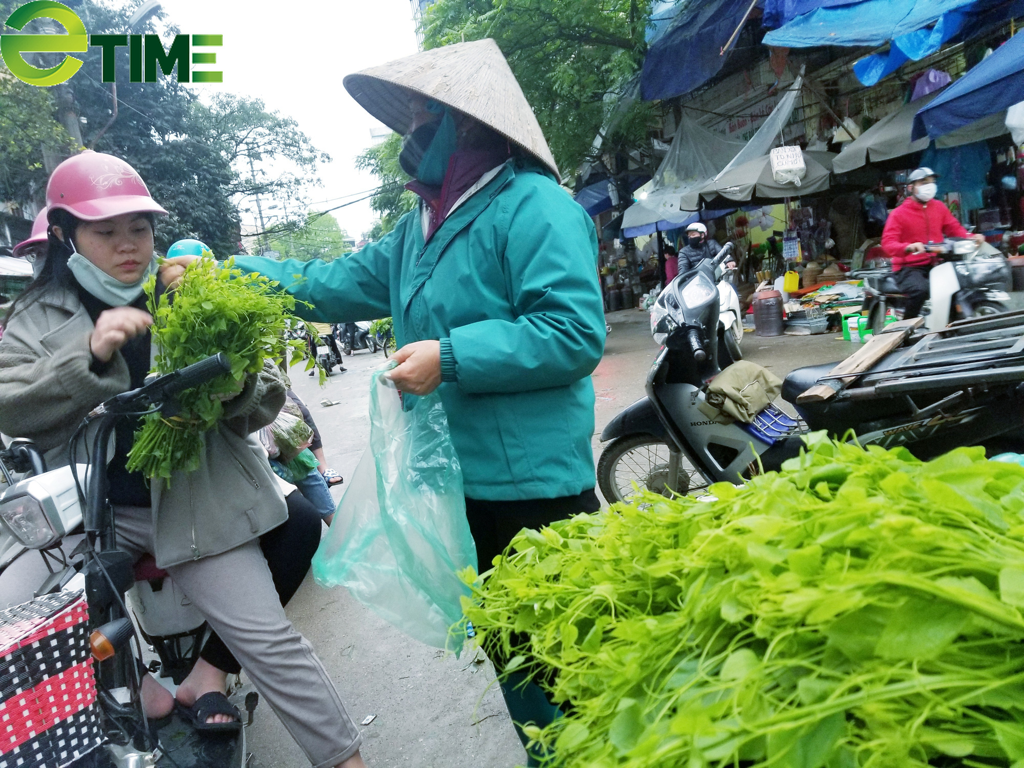 Nông dân Lạng Sơn "biến" rau dại trên núi thành rau đặc sản nức tiếng - Ảnh 3. Nông dân Lạng Sơn "biến" rau dại trên núi thành rau đặc sản nức tiếng - Ảnh 3.