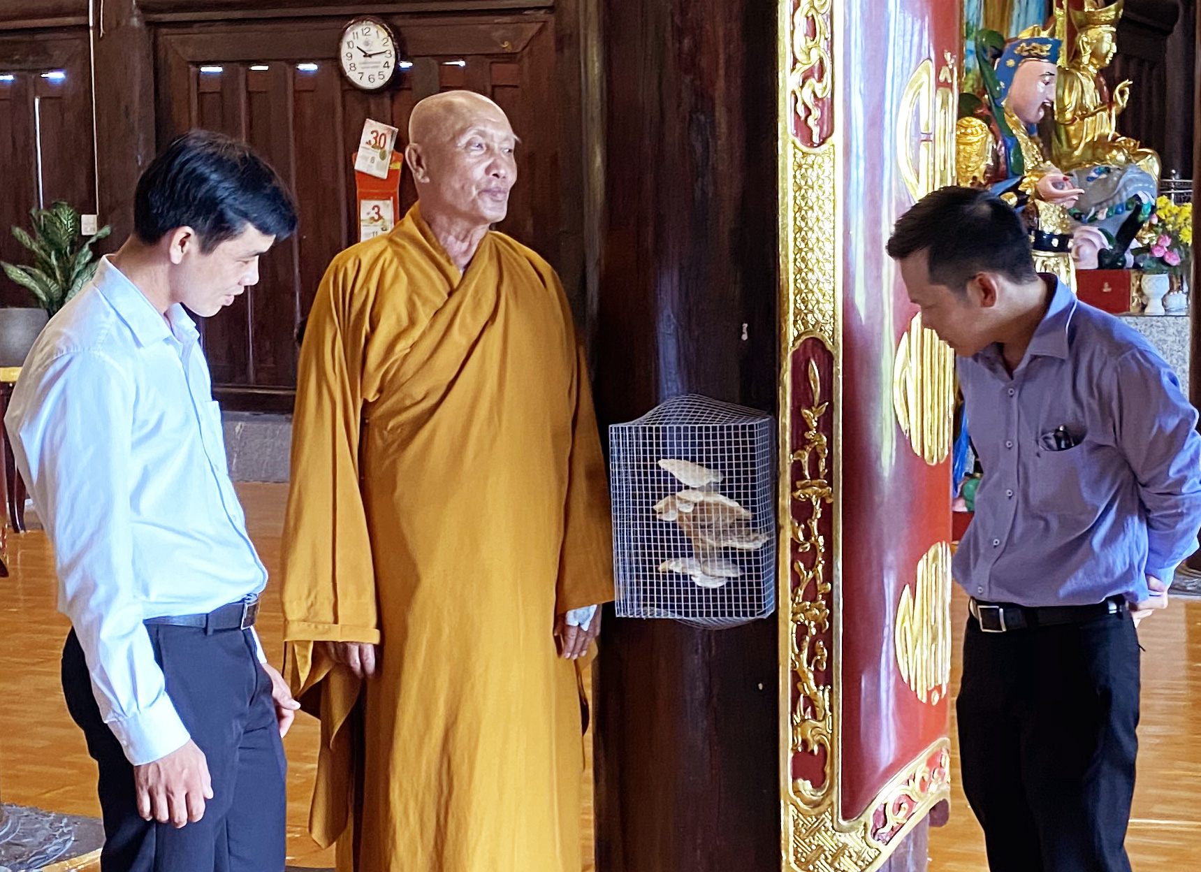 Cà Mau: Nấm 4 tầng mọc từ cột trong Thiền Viện Trúc Lâm gây xôn xao dư luận - Ảnh 1.