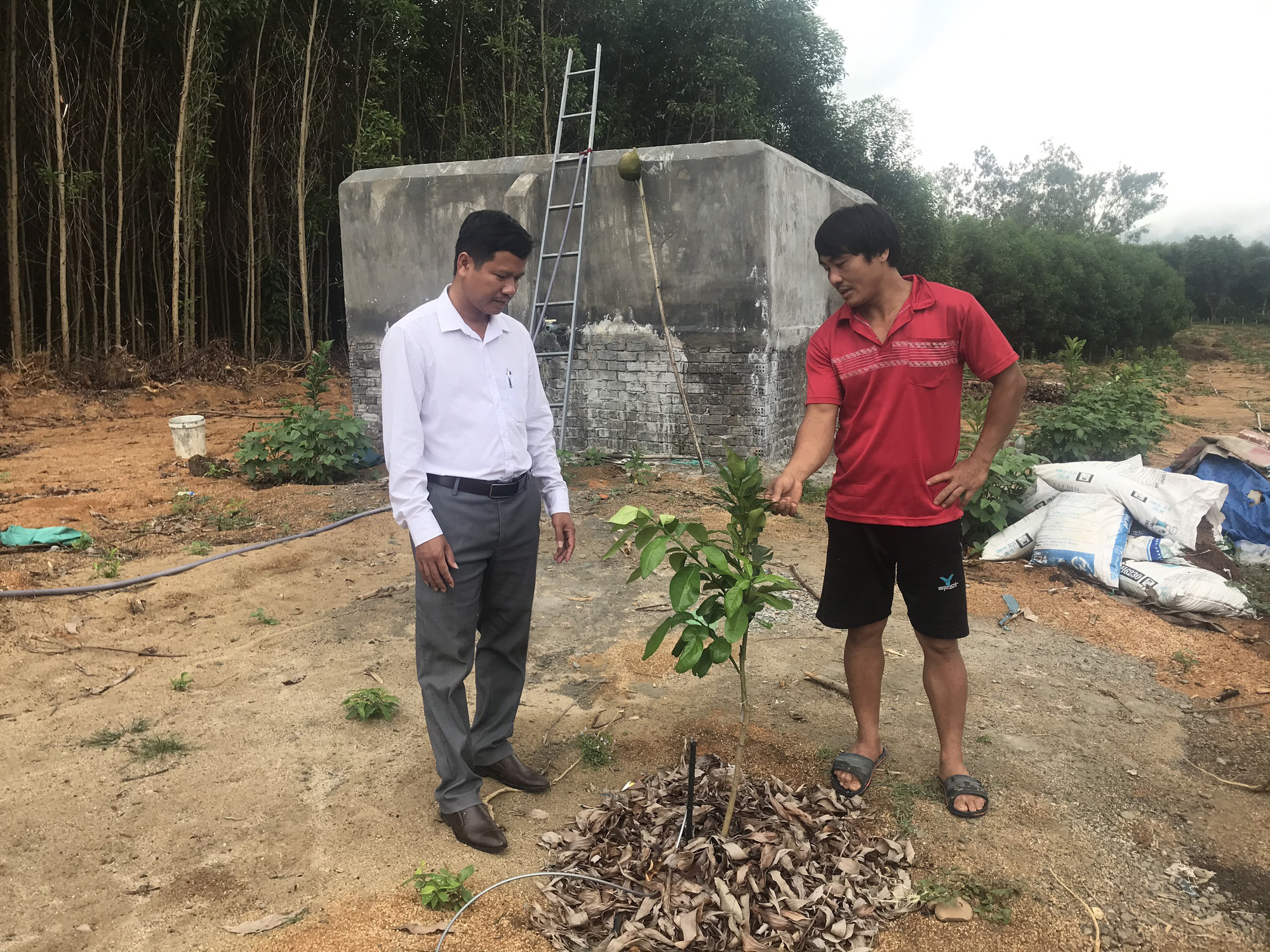 NTM Quảng Nam: Quế Phong chú trọng đầu tư hạ tầng để tạo “cú hích” cho phát triển  - Ảnh 2.