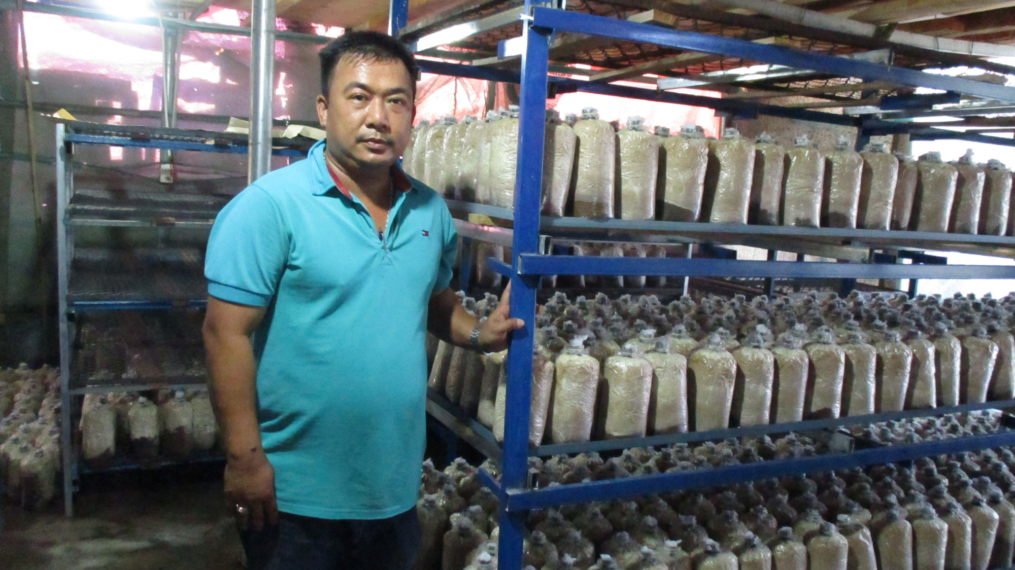 Khởi nghiệp từ nấm, 8X xứ Quảng “đút túi” 300 triệu/năm - Ảnh 1.