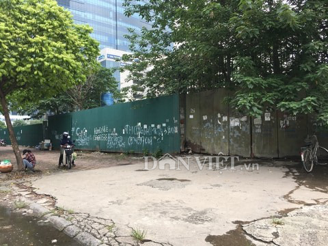 106 cây xanh dự án Nhổn - ga Hà Nội &quot;rên xiết&quot;: Cây xanh chết khô, công ty Beepro mất hút? - Ảnh 5.