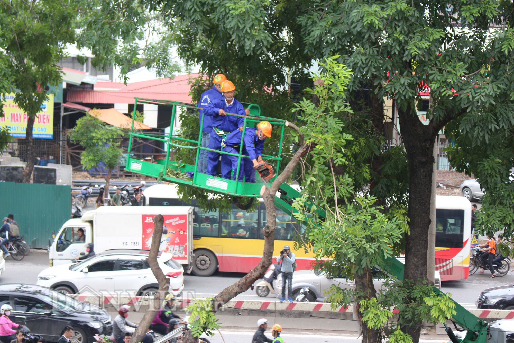 Bất ngờ lớn về doanh nghiệp bỏ rơi 106 cây xanh dự án đường sắt trên cao Nhổn - Ga Hà Nội? - Ảnh 7.
