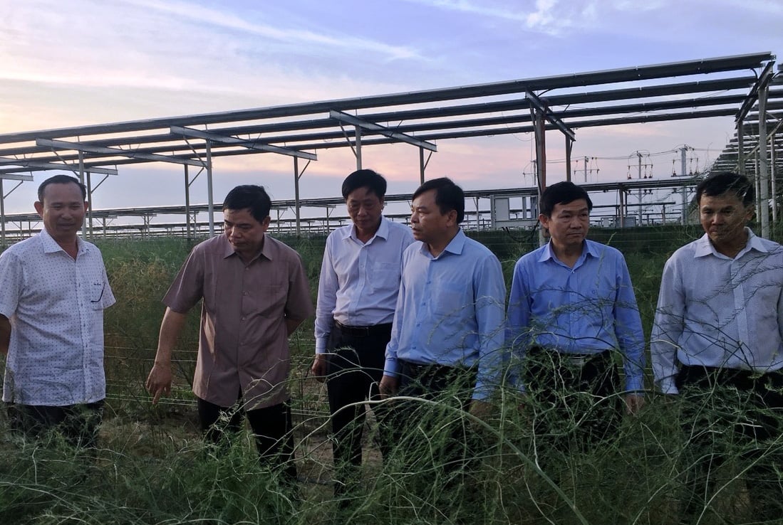 Ninh Thuận - bao giờ nắng nóng thành... tài nguyên? - Ảnh 1.