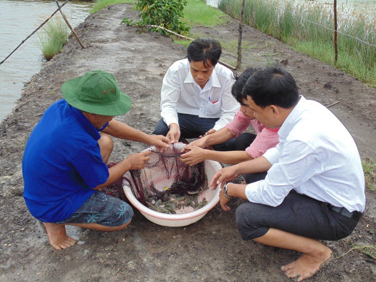 Dạy nghề nông ứng phó hiệu quả với hạn, mặn - Ảnh 1.